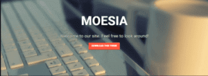 ATHEMES WORDPRESS MOESIA