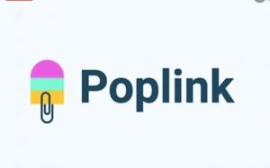 POPLINK