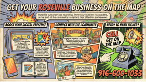 2 - roseville seo